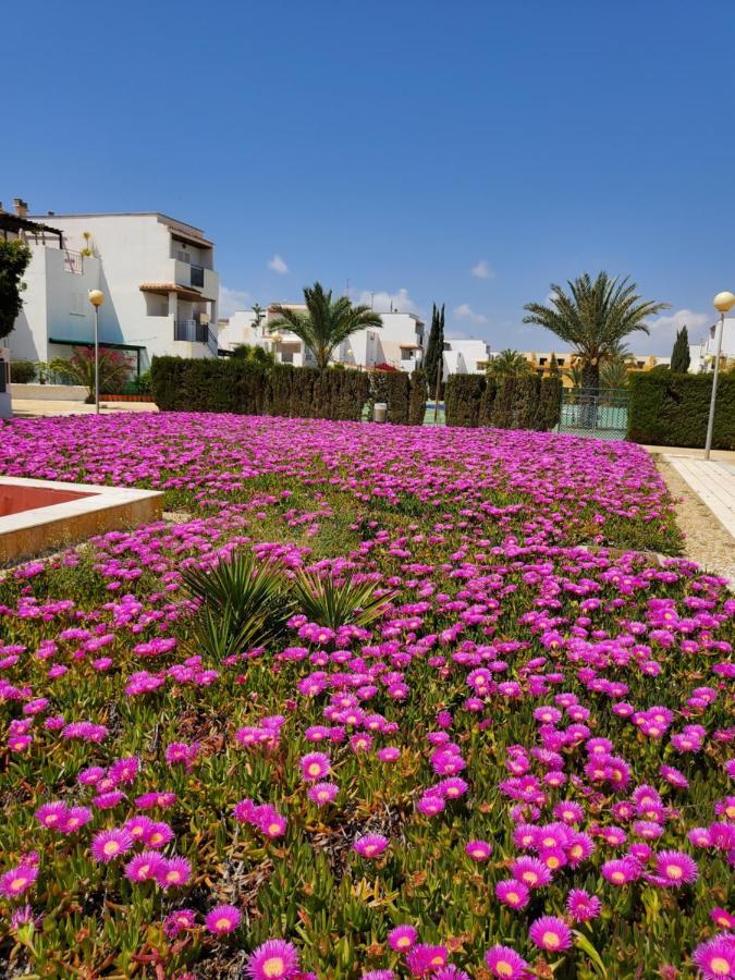 Casa Baja Naturista Con Patio En Primera Linea De Playa Con Piscina Comunitaria! Apartment Vera
